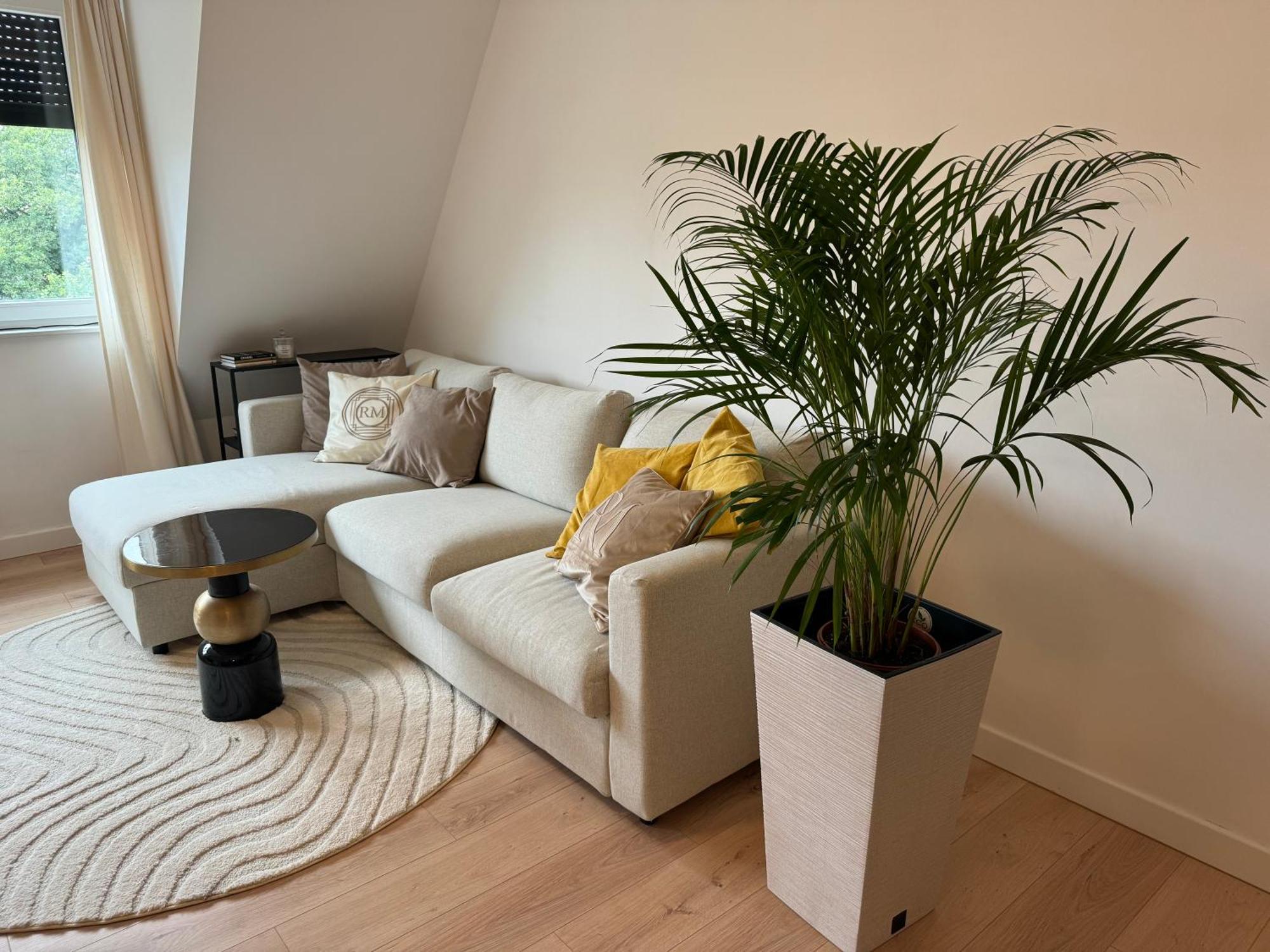 Moon Apartment Stary Toruń Kültér fotó